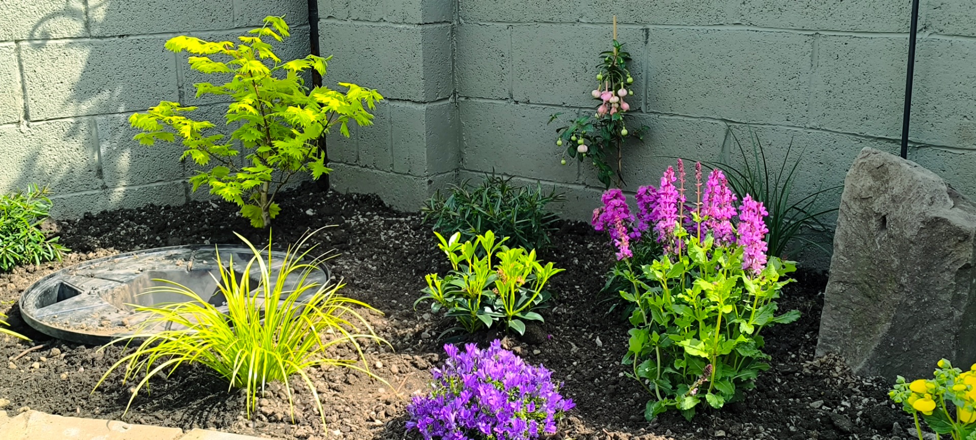 Manor Close Planting 